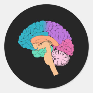 Halb-Brain-Science-Aufkleber Runder Aufkleber
