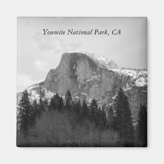 Halb-Dome-Magnet Magnet