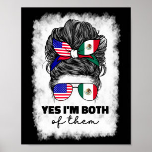 Halb mexikanisch und amerikanisch Mexiko Amerika U Poster
