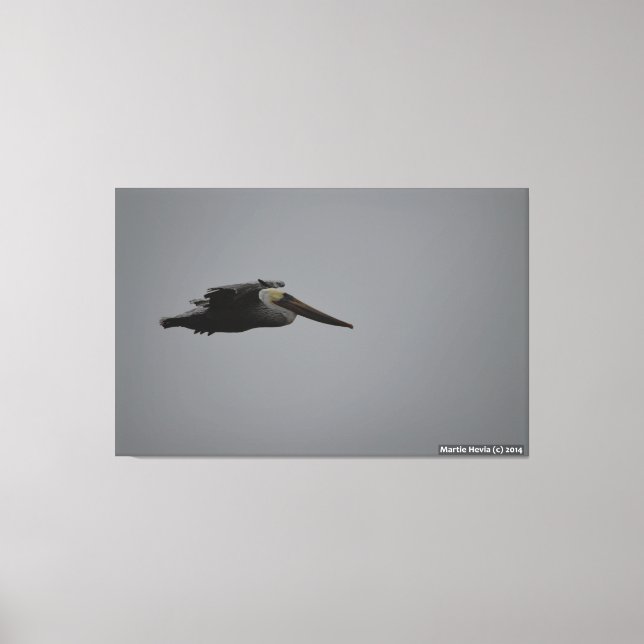 Halb Moon Bay Fierce Pelican III - überzogene Canv Leinwanddruck (Vorderseite)