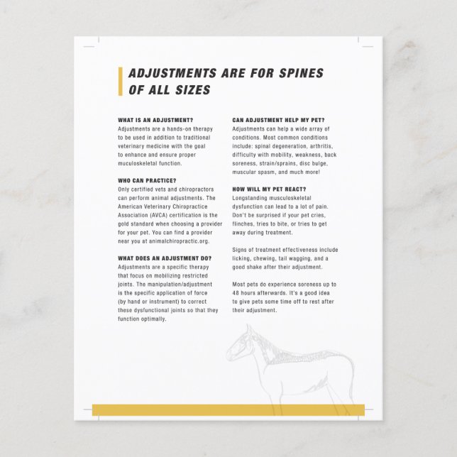 Halbblatt für Pferde Flyer (Vorne)