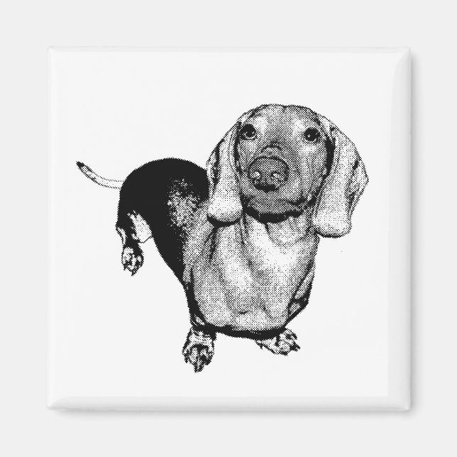 Halbdunkel-Weiß-Foto Dachsund-Dackel Magnet (Vorne)