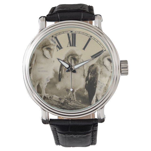 Halbgewachsene Eulen beobachten Armbanduhr (Vorderseite)