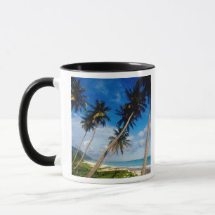 Halbinsel La Samana, Dominikanische Republik, Tasse