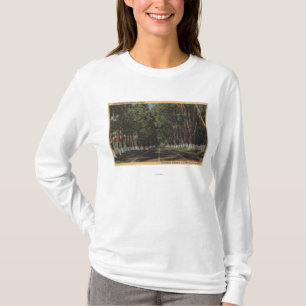 Halbinsel-Landstraße US 101 Ansicht EL Camino Rea T-Shirt