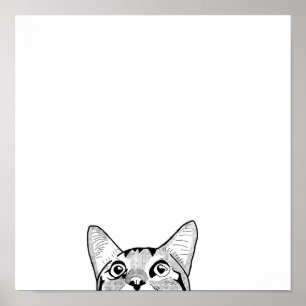 Halbkatzengesichtsart Poster