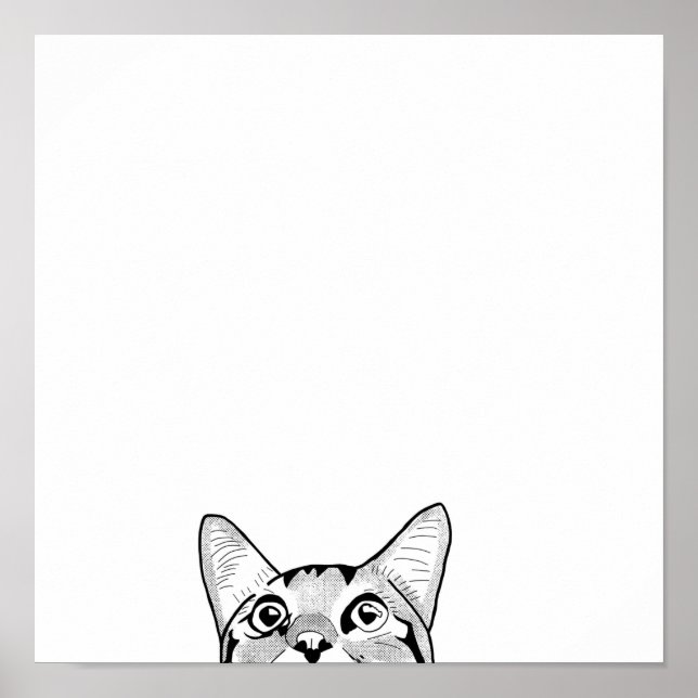 Halbkatzengesichtsart Poster (Vorne)