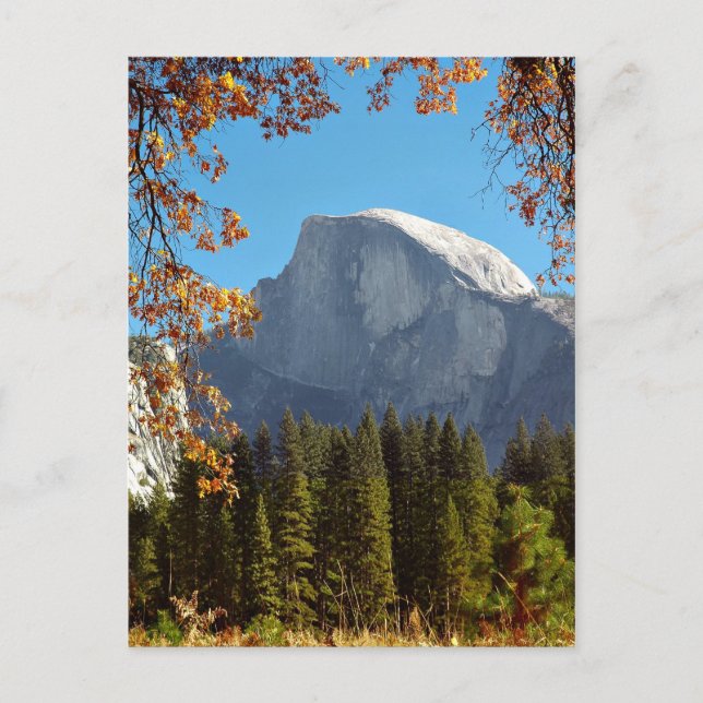 Halbkuppel im Herbst - Nationalpark Yosemite Postkarte (Vorderseite)