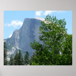 Halbkuppel im Sommer vom Yosemite Nationalpark Poster