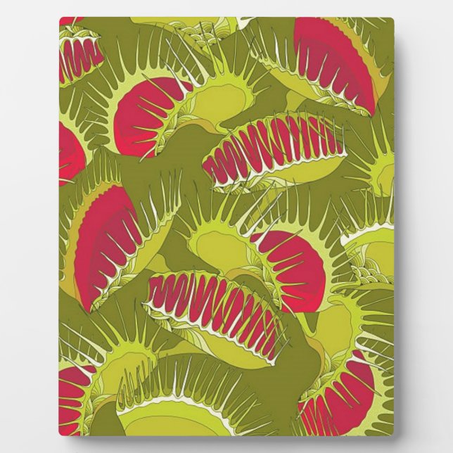 Halbländerfalle Fotoplatte (Vorderseite)