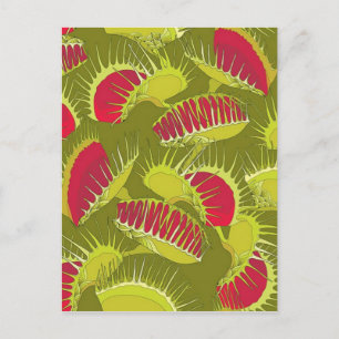 Halbländerfalle Postkarte