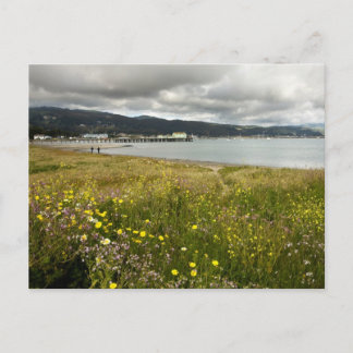 Halbmond Bay im Frühling Postkarte