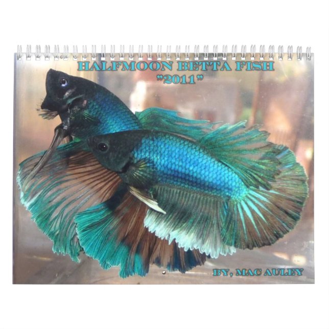 Halbmond Betta Fisch-Kalender Kalender (Titelbild)