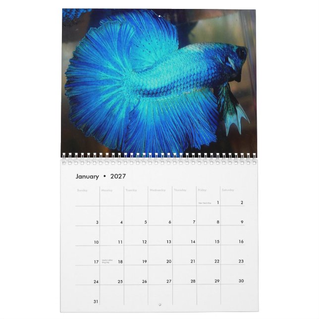 Halbmond Betta Kalender 2013 durch Karen-Mac Auley (Jan 2027)