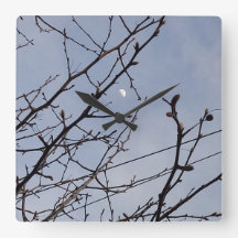 Halbmond im Tageslicht