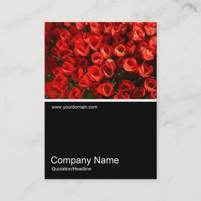 Halbpension Foto 01 Visitenkarte (Vorderseite)