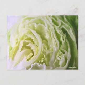 Halbschrift 1 postkarte