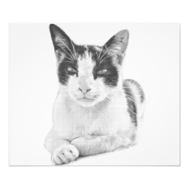 Halbton-Katze Fotodruck (Vorne)