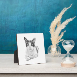 Halbton-Katzenporträt Fotoplatte