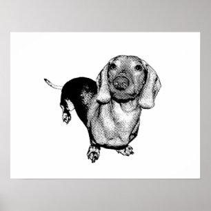 Halbtonschwarzweiss-Fotodachsund-Dackel Poster