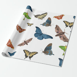 Halbwahnsinn Geschenkpapier