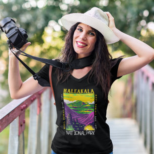 Haleakala National Park Hawaii Distressed Vintage T-Shirt