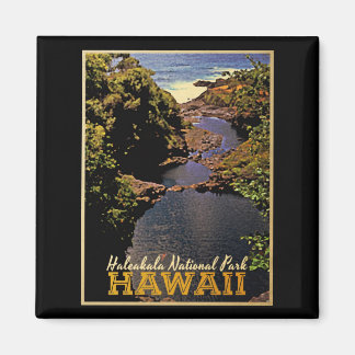 Haleakala Nationalpark Hawaii Magnet