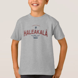 Haleakala Nationalpark Hawaii Urlaub T-Shirt