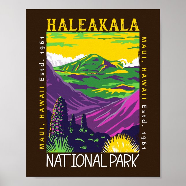 Haleakala Nationalpark Hawaii Vintag gestört Poster (Vorne)