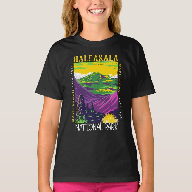 Haleakala Nationalpark Hawaii Vintag gestört T-Shirt (Vorderseite)