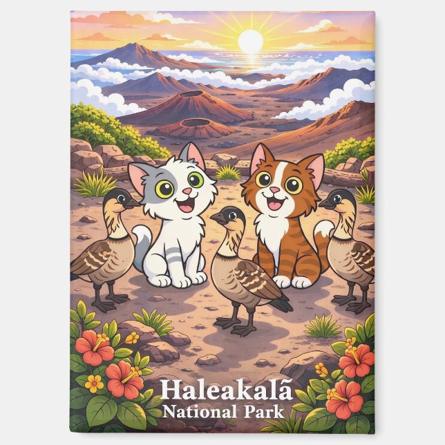 Haleakala-Nationalpark-Magnet Magnet (Vorderseite)