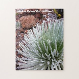 Haleakala Nationalpark Silversword Puzzle