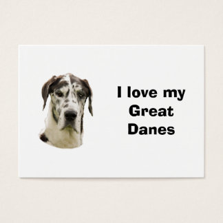 Halequin Great Dane Foto