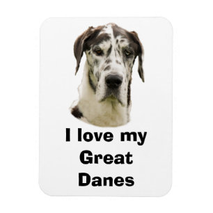 Halequin Great Dane Foto Magnet