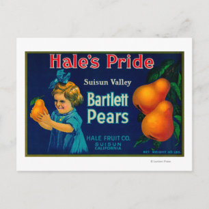 Hale's Pride Pear Crate LabelSuisun, CA Postkarte
