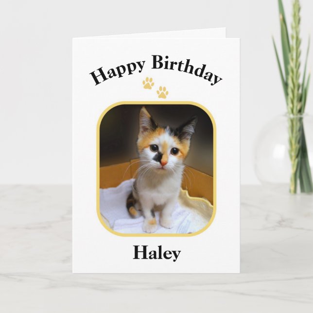 Haley Calico Kitten Happy Birthday Karte (Vorderseite)