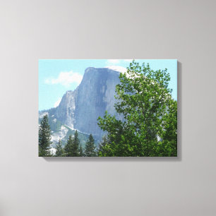Half Dome im Sommer im Yosemite-Nationalpark Leinwanddruck