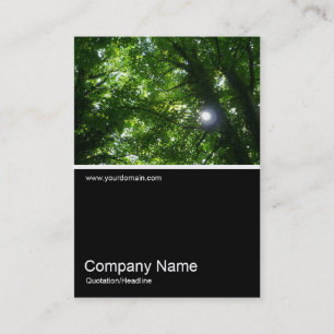 Half&Halb Foto 027 - Sonne in den Bäumen Visitenkarte