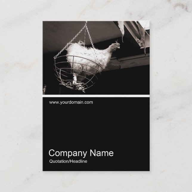 Half&Halb Foto 044 - Hühnchen im Korb Visitenkarte (Vorderseite)