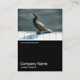 Half&Half Foto 0178 - Kormorant Visitenkarte