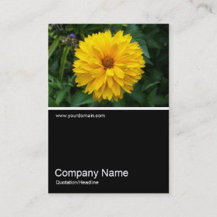 Half&Half Foto 057 - Chrysanthemum Visitenkarte