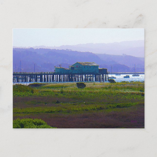 Half Moon Bay Postkarte (Vorderseite)