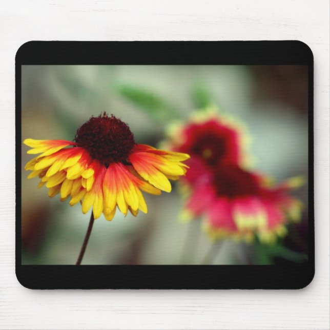 halfdaisy mousepad (Vorne)