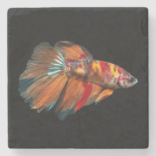 Halfmoon Betta Fish Steinuntersetzer