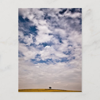 Hälfte des blauen Universums Postkarte