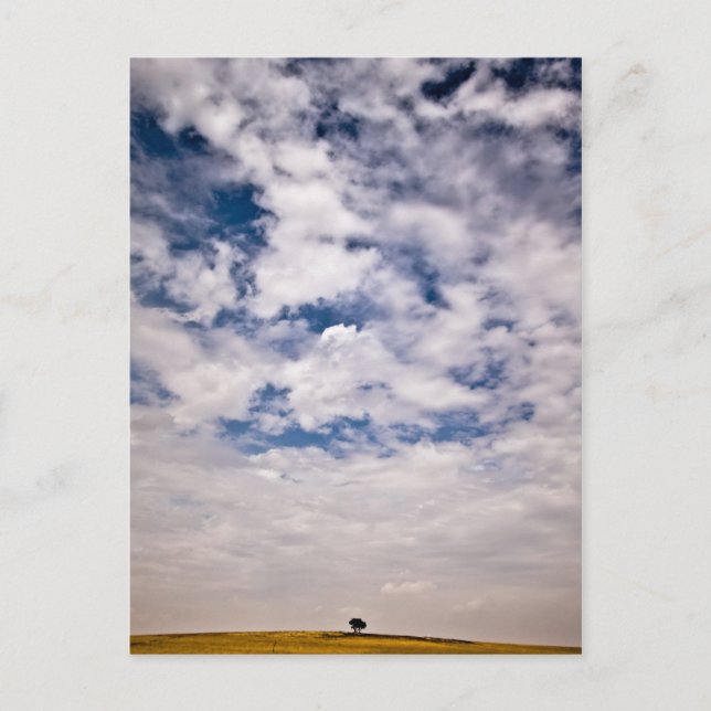 Hälfte des blauen Universums Postkarte (Vorderseite)