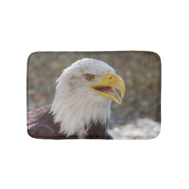 Haliäetus leucocephalus badematte (Vorderseite)