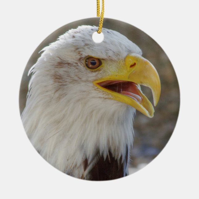 Haliäetus leucocephalus keramikornament (Vorne)