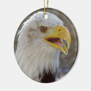 Haliäetus leucocephalus keramikornament