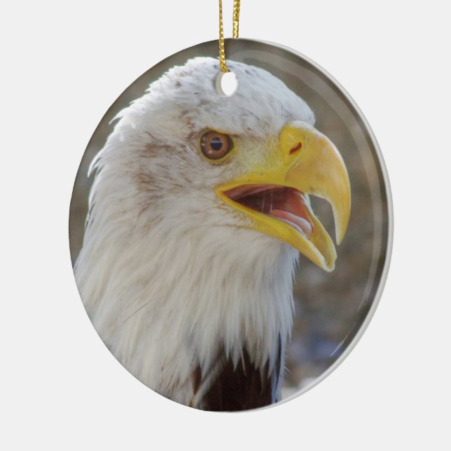 Haliäetus leucocephalus keramikornament (Links)